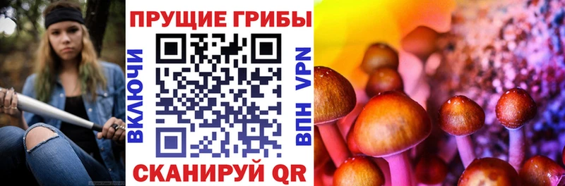где можно купить   blacksprut ссылки  Галлюциногенные грибы GOLDEN TEACHER  Абдулино 